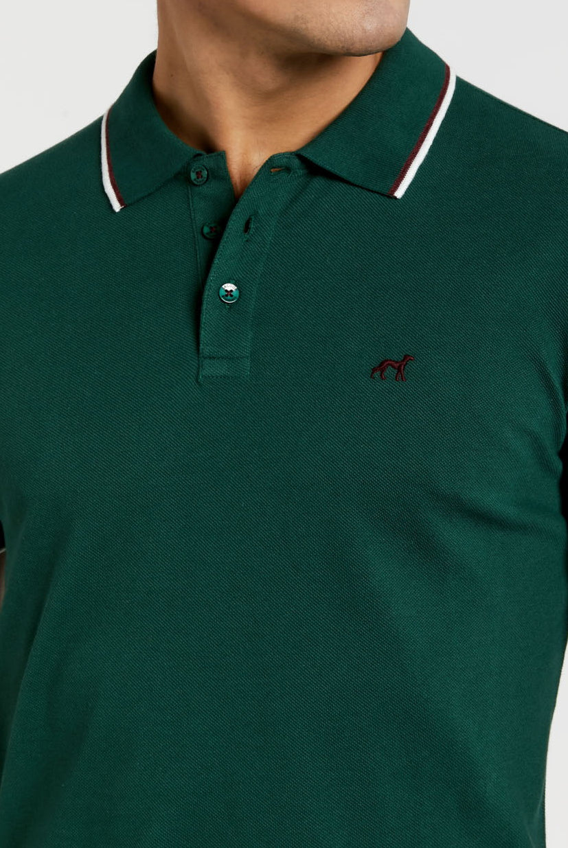Dark Green