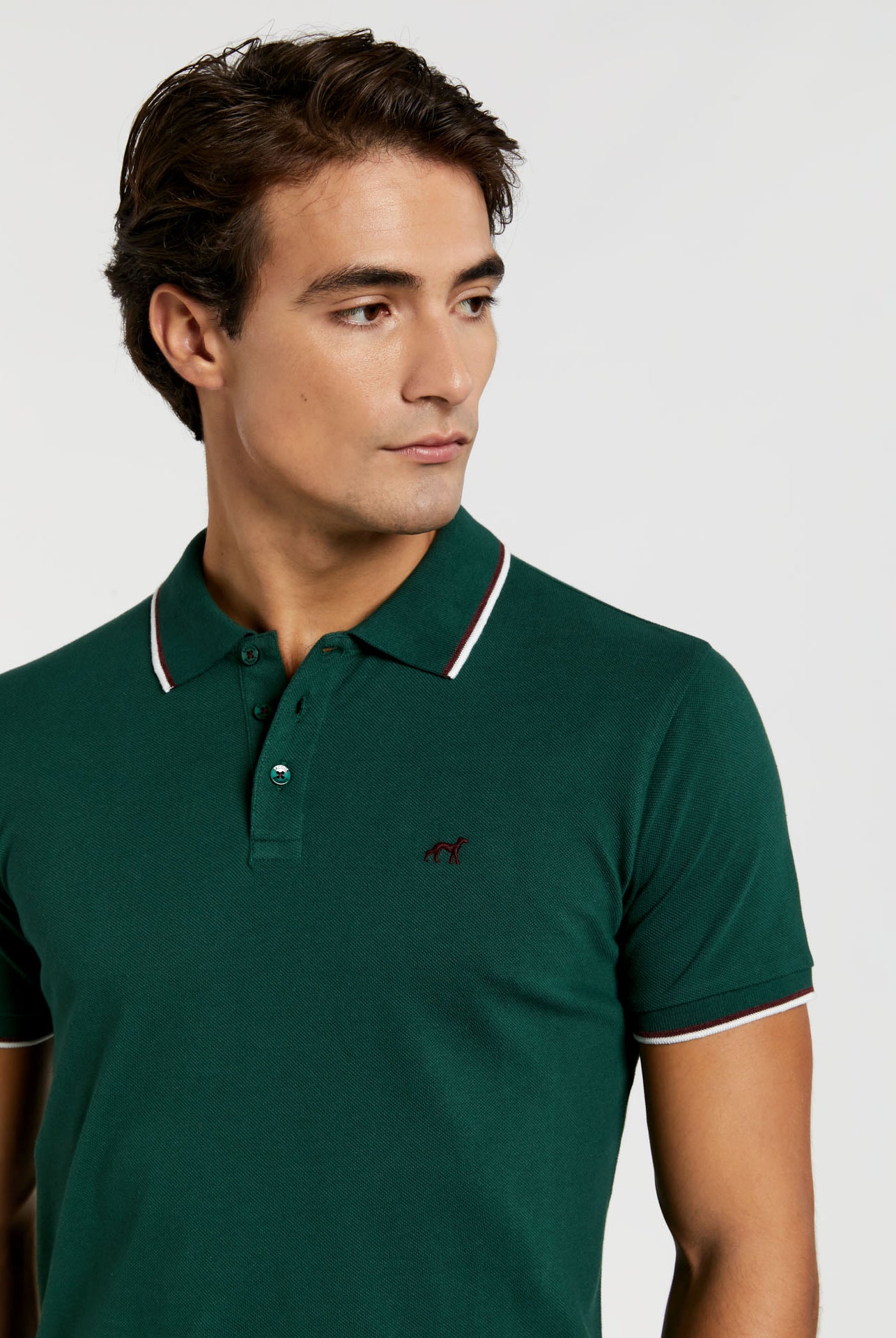 Dark Green