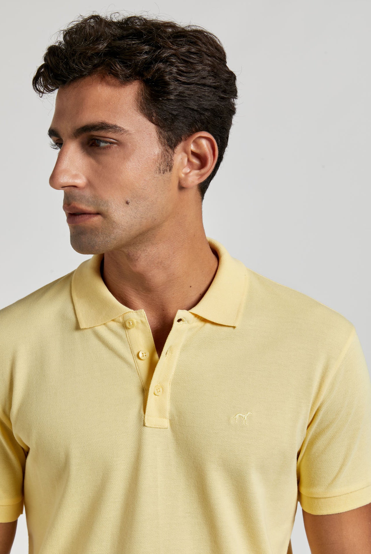 Light Yellow