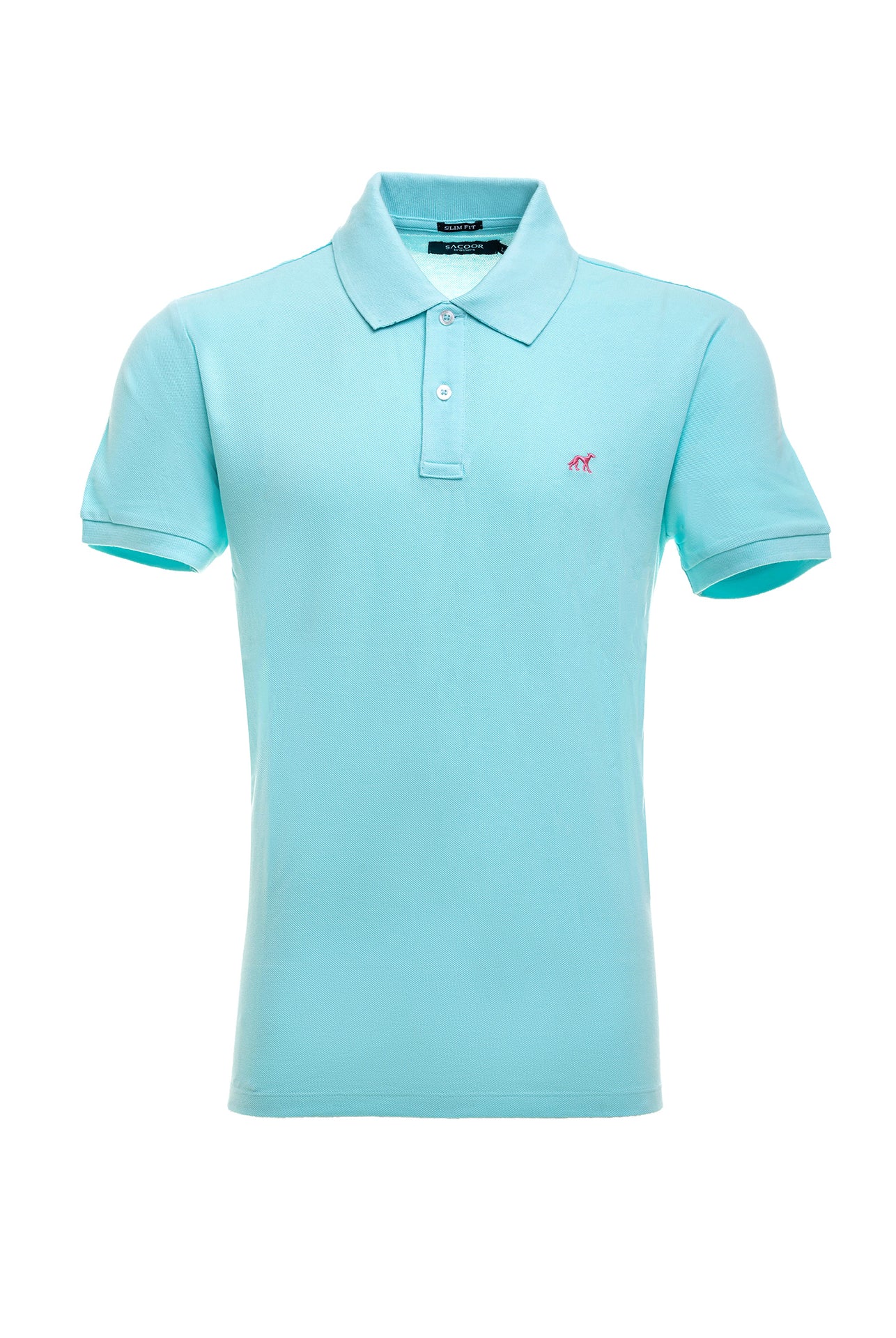 Light Turquoise