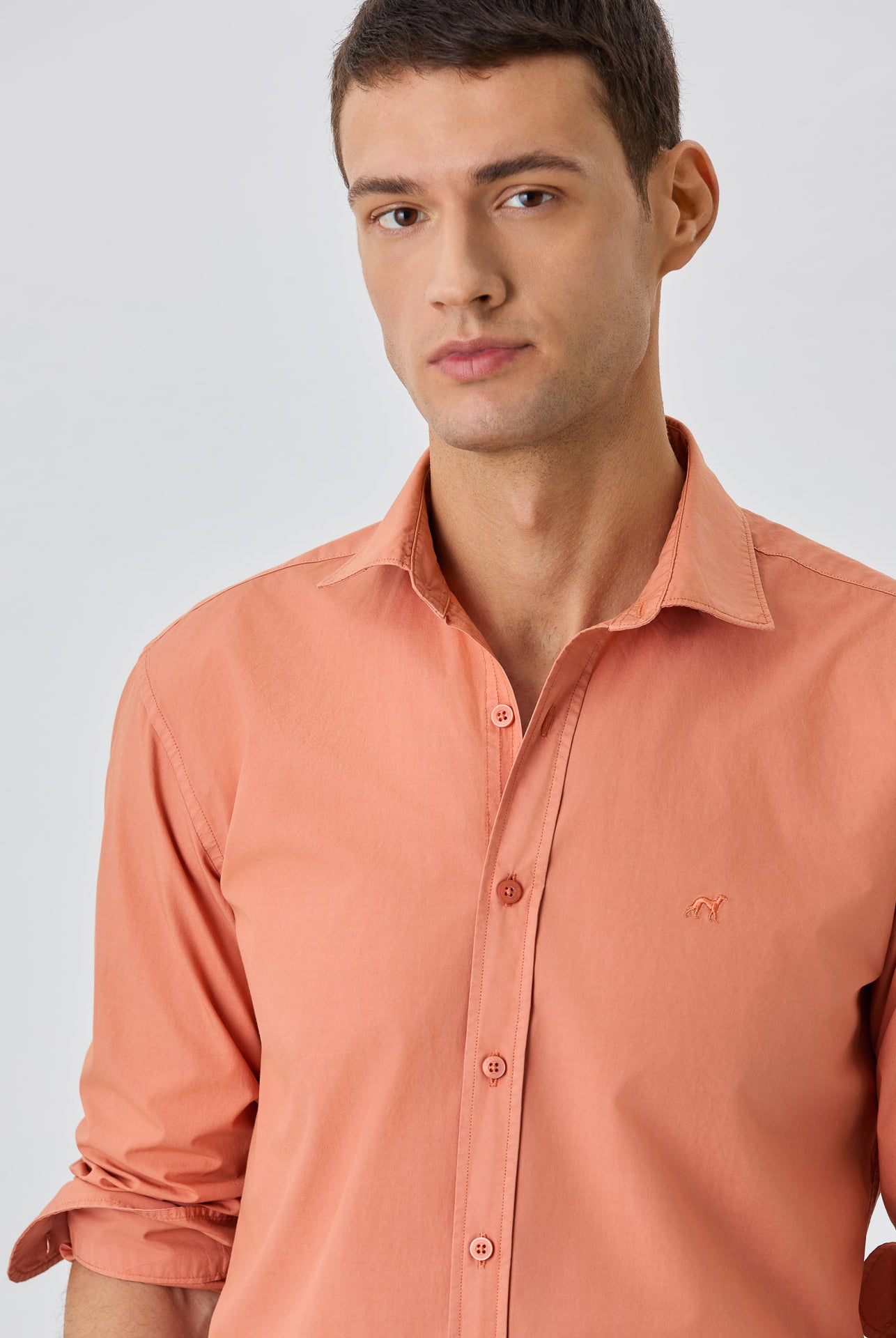 Light Orange