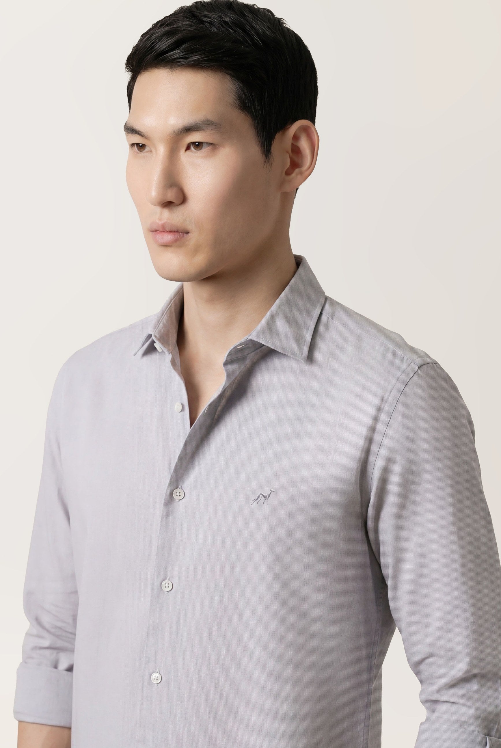 Light Grey (AI)