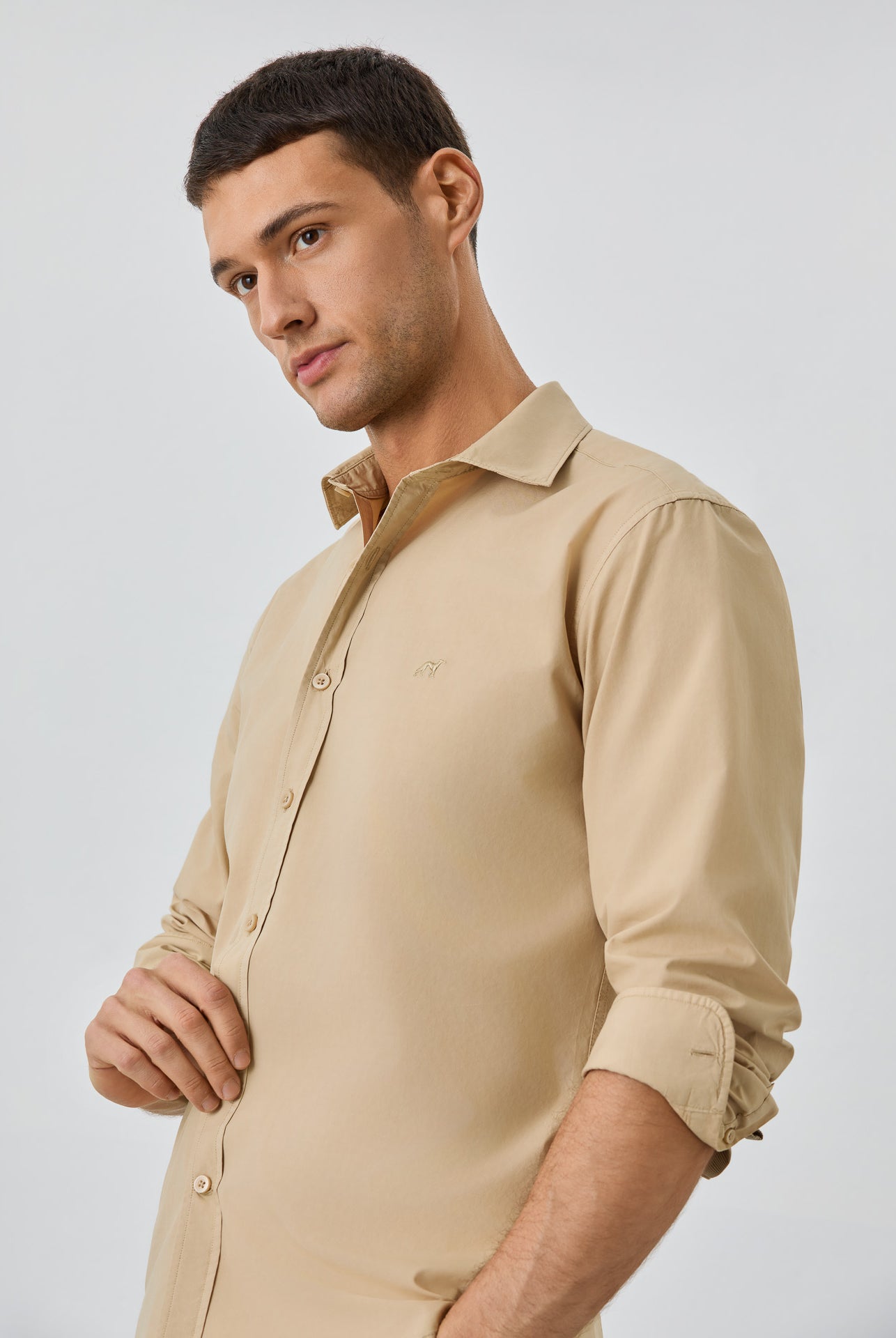 Light Beige