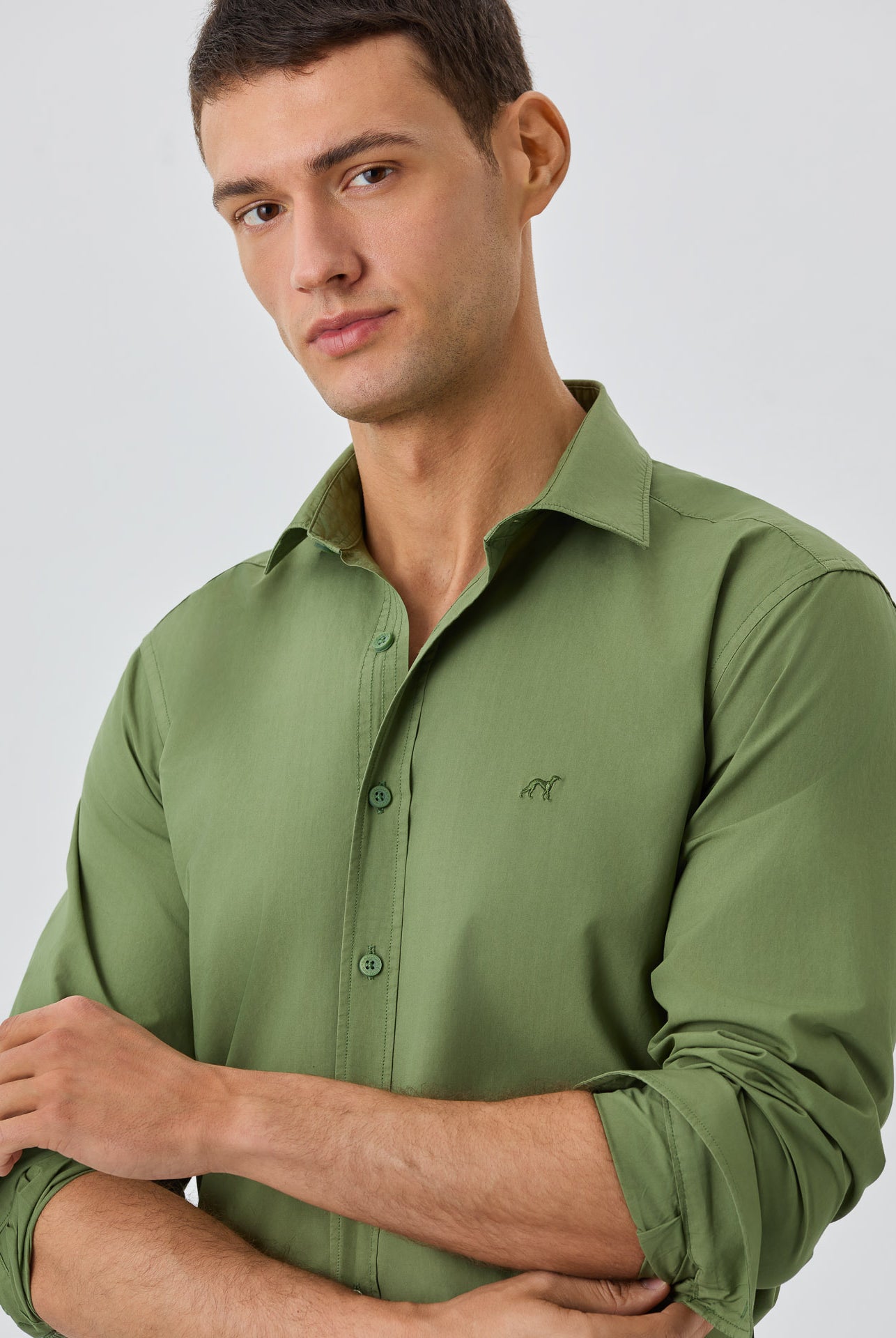 Olive Green
