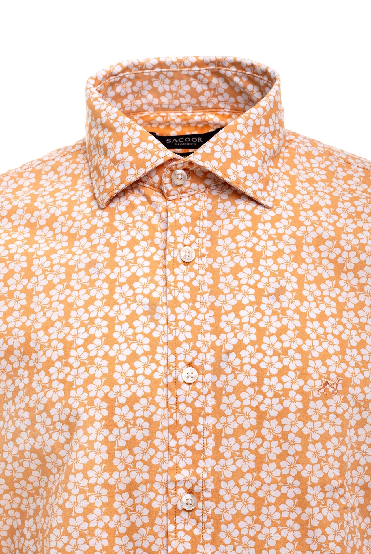 Light Orange