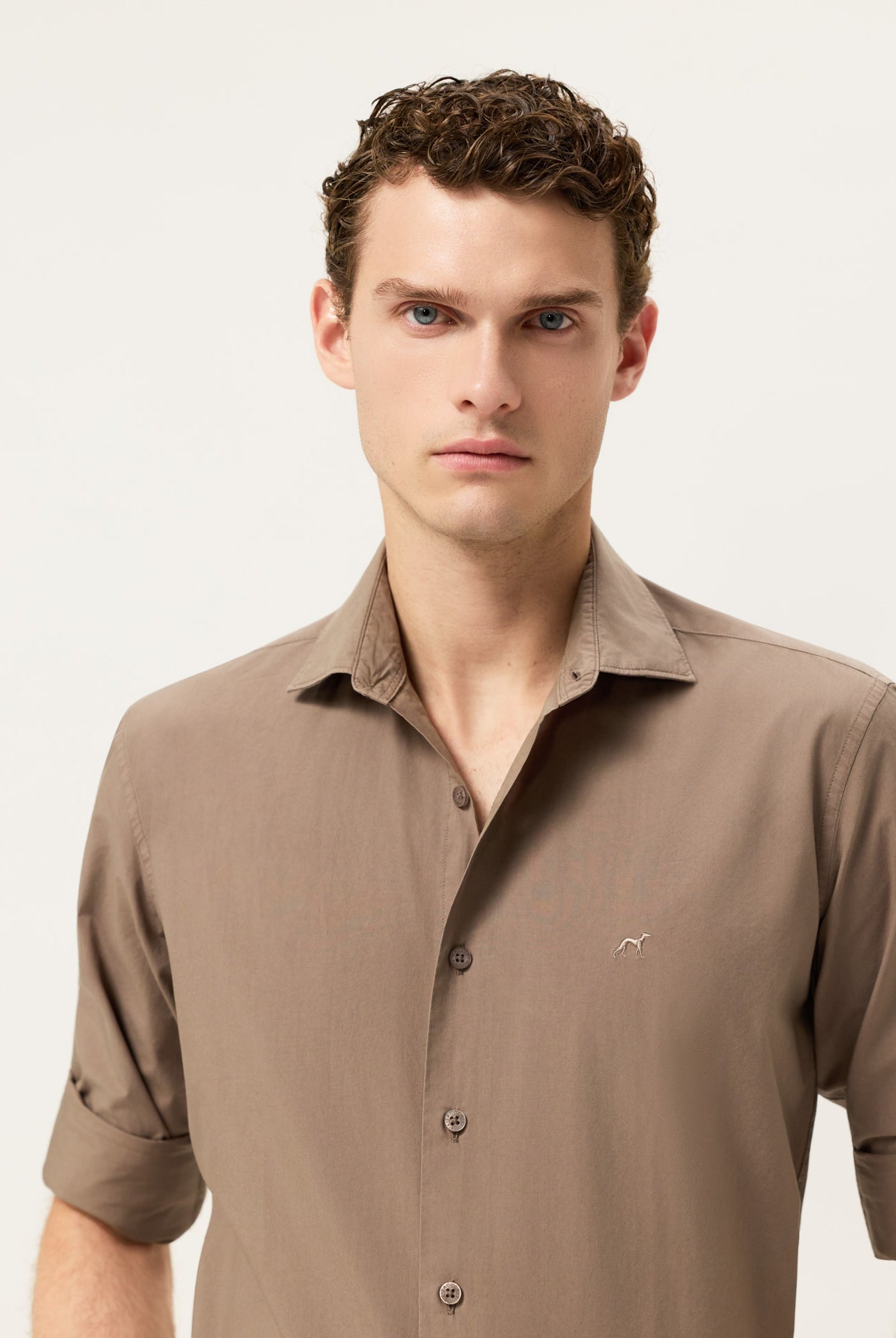 Light Brown
