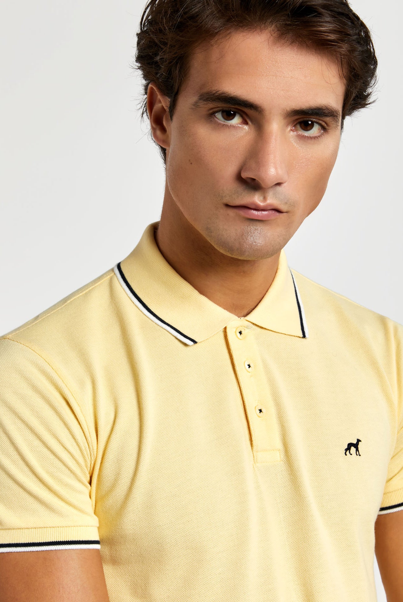 Light Yellow