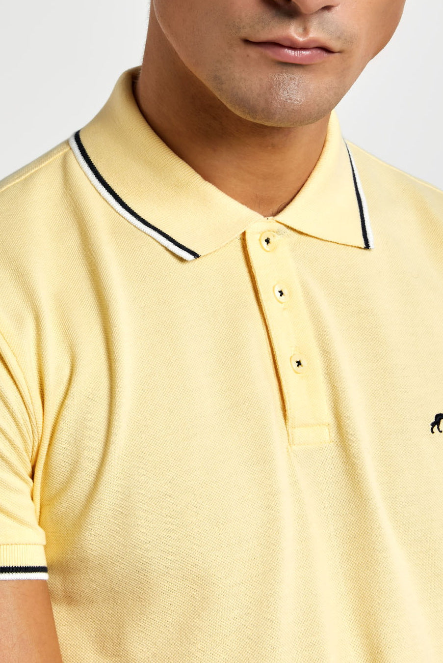 Light Yellow