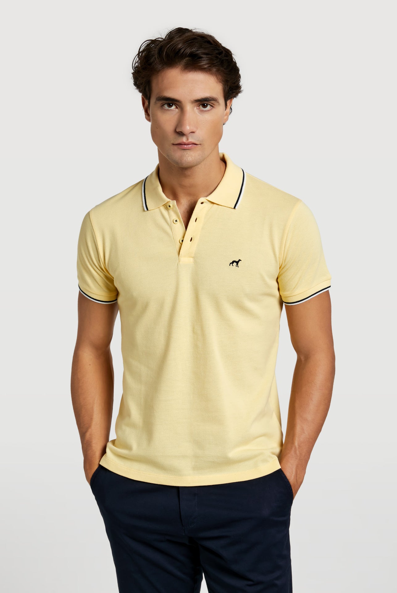 Light Yellow
