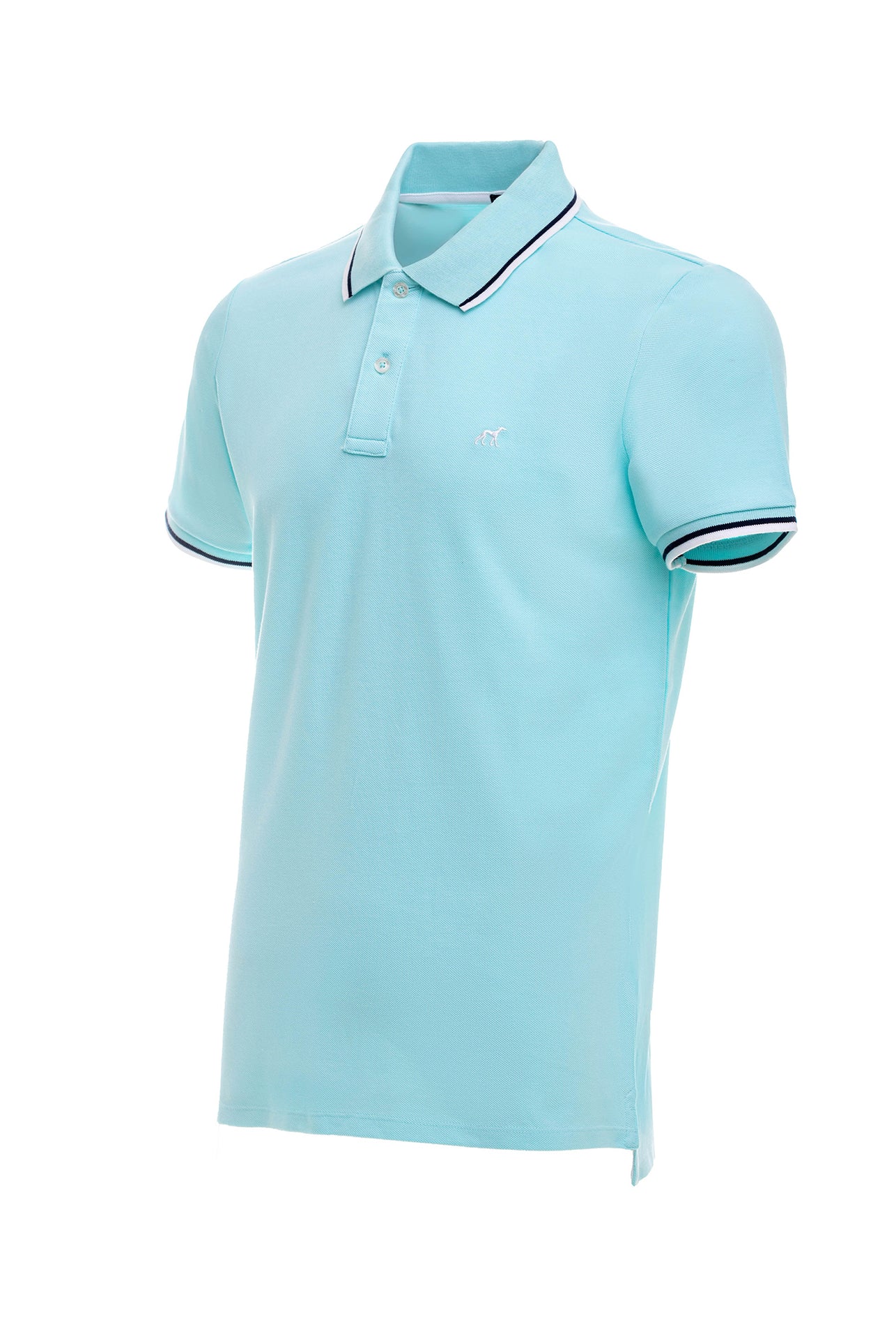 Light Turquoise