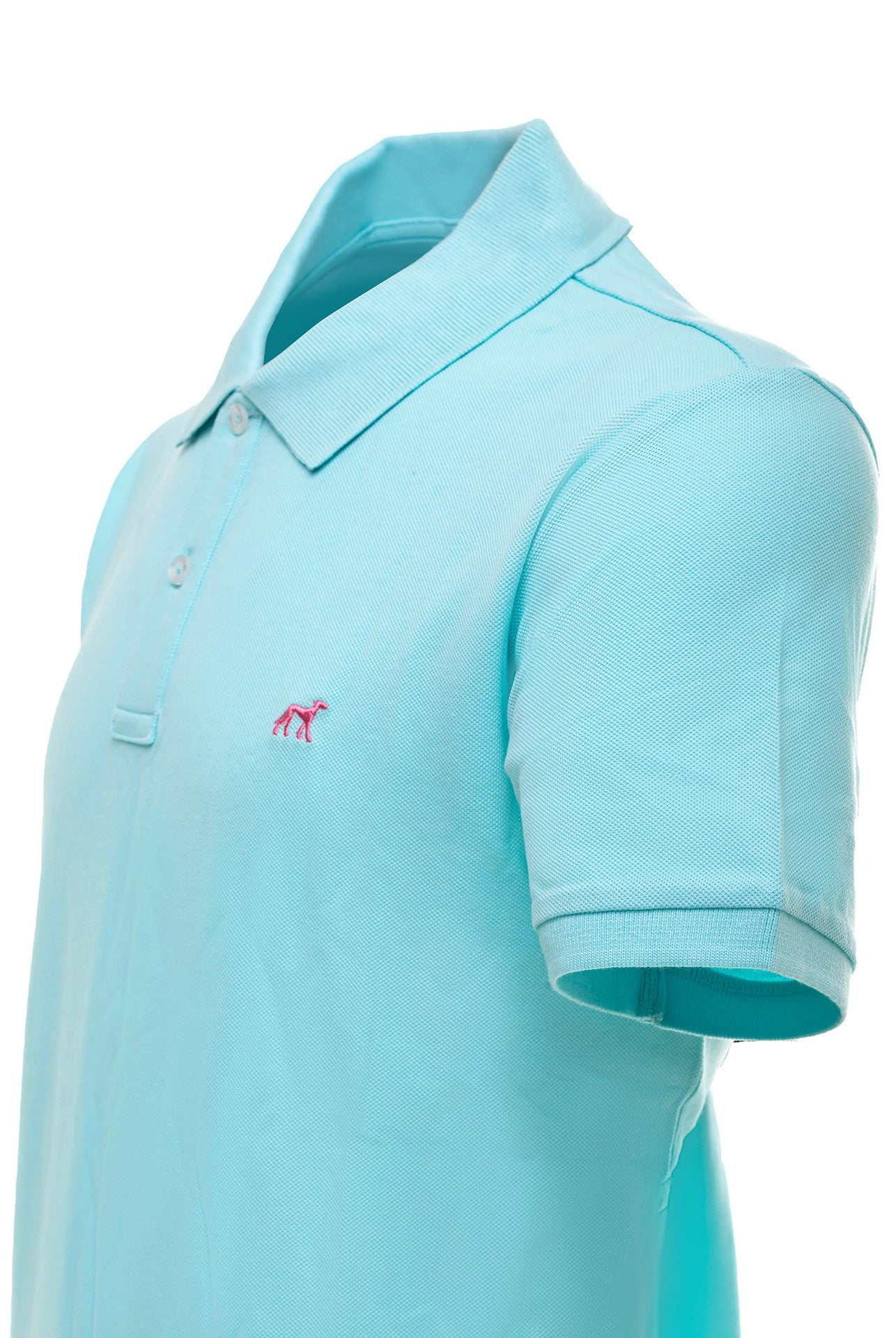 Light Turquoise