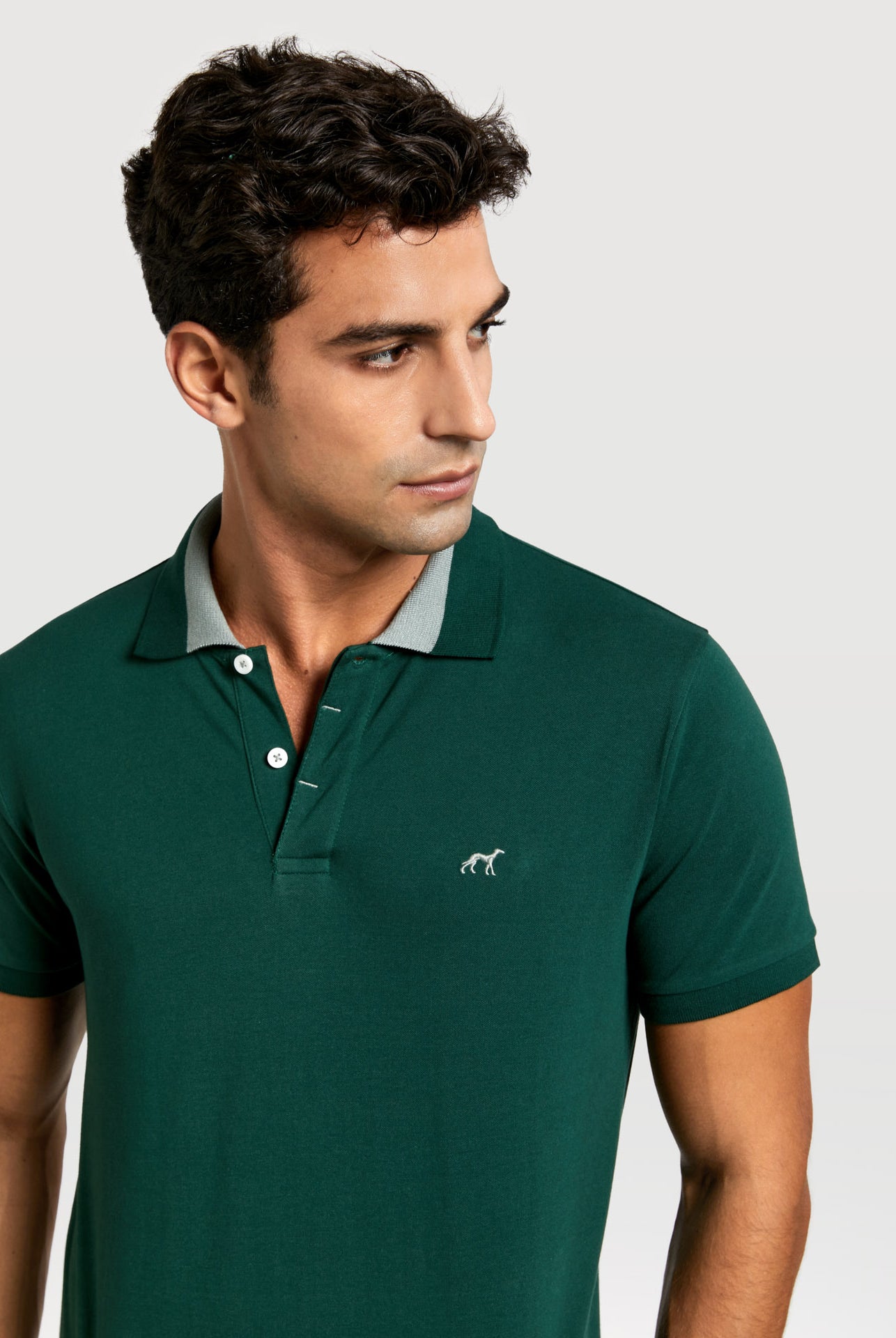 Dark Green