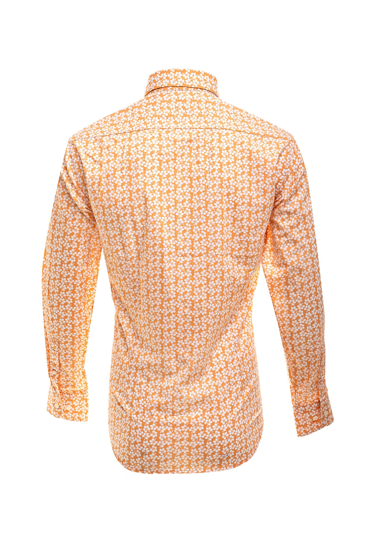 Light Orange