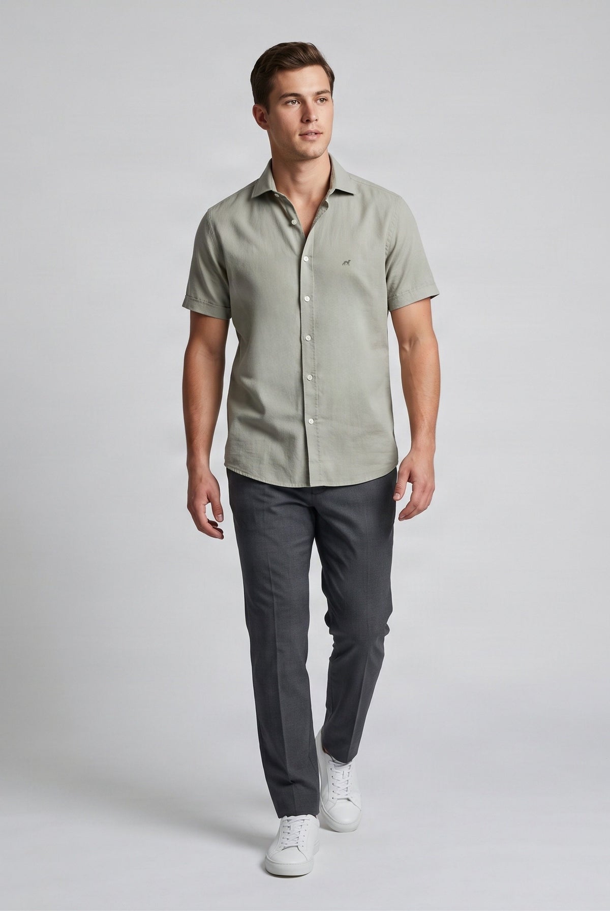 Light Khaki (AI)