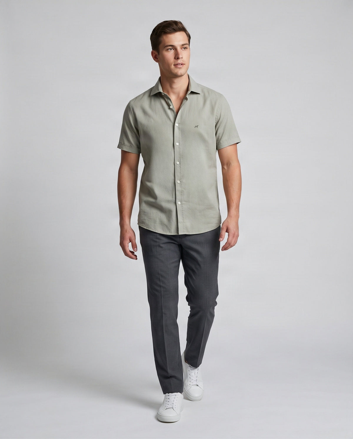 Light Khaki (AI)