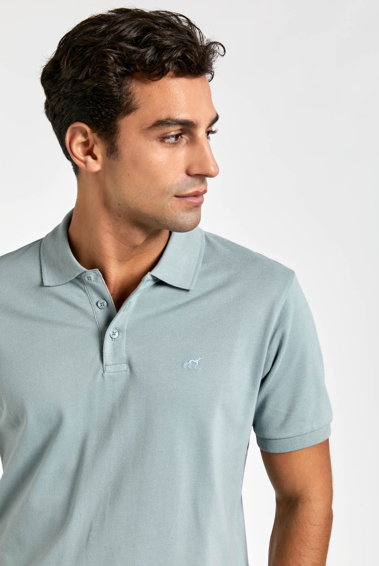 Light Turquoise