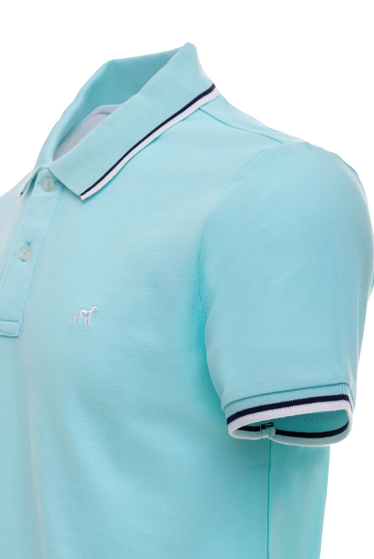 Light Turquoise