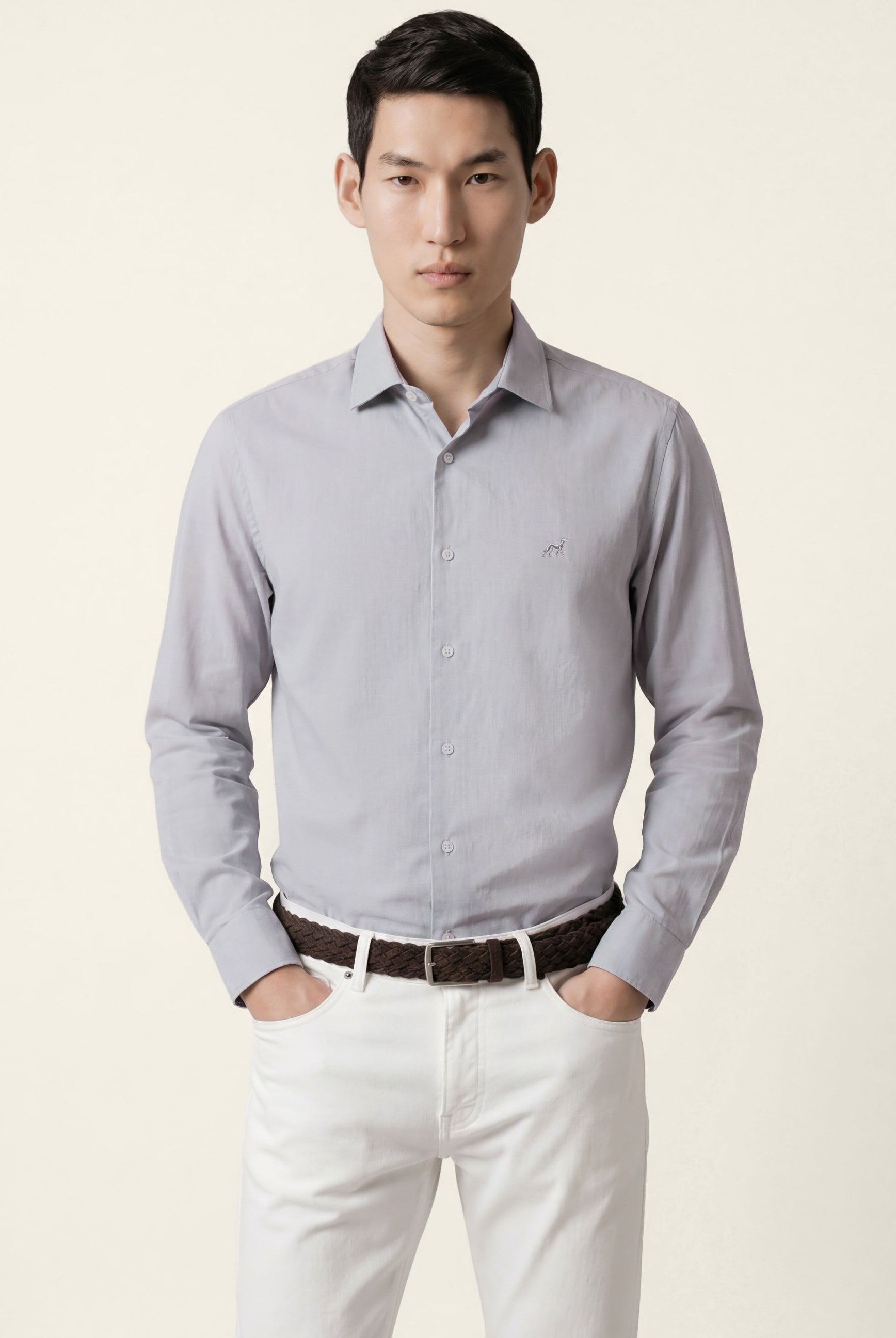 Light Grey (AI)