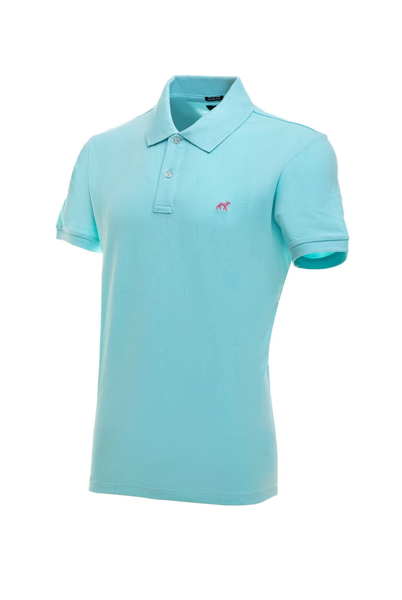 Light Turquoise
