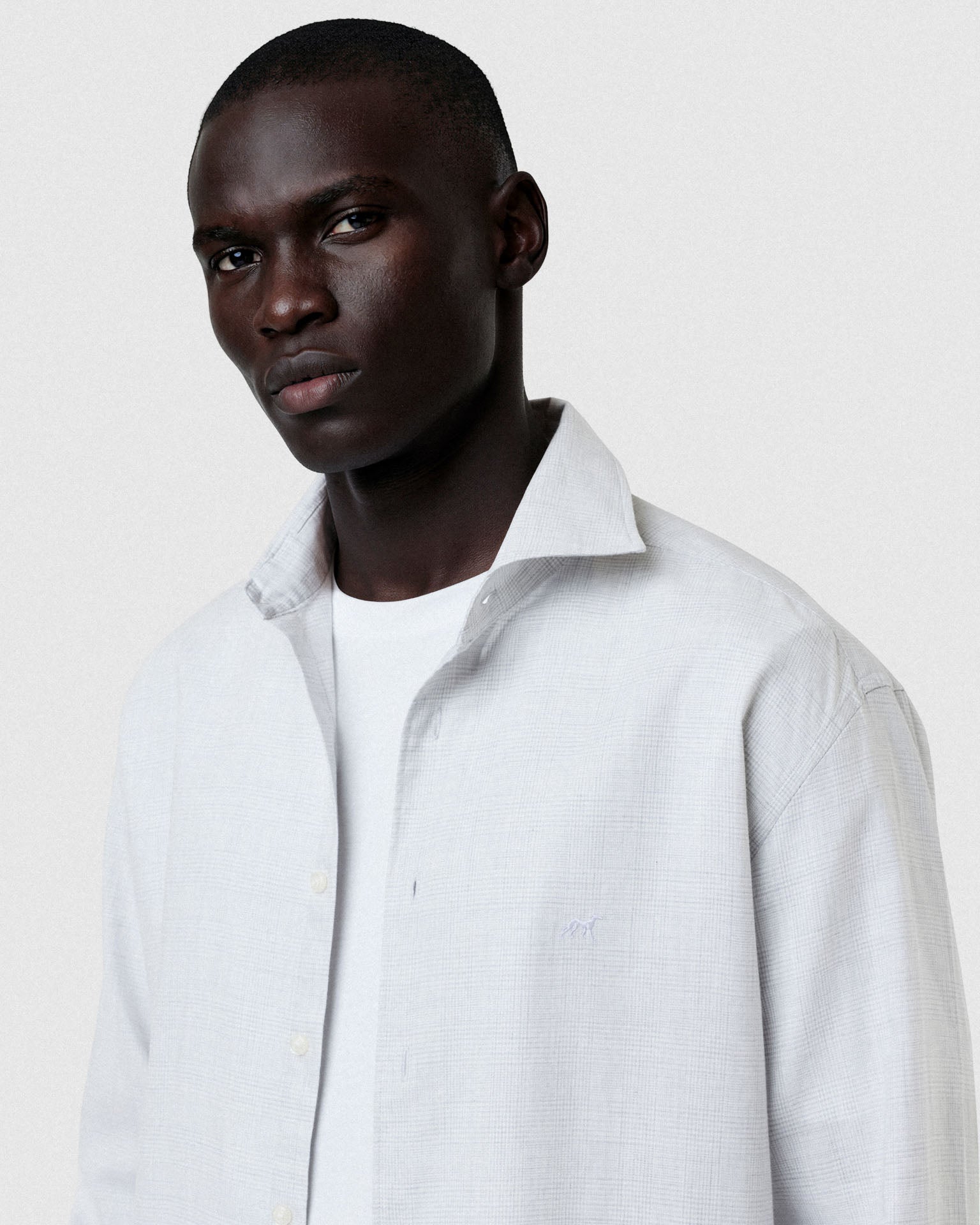 Light Grey (AI)