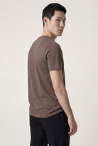 Taupe (AI)
