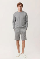 Light Mix Grey (AI)