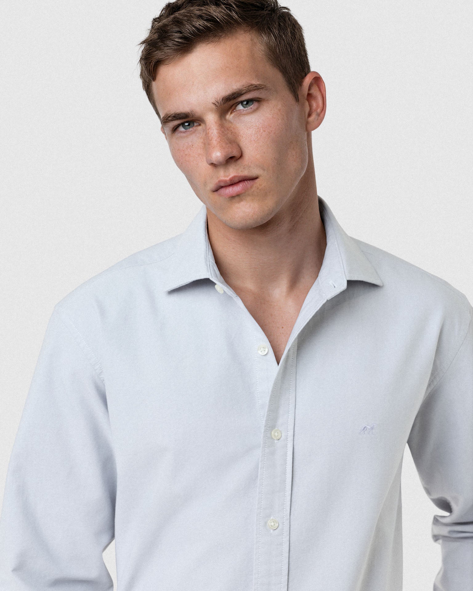 Light Grey (AI)